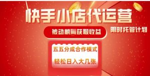 快手小店代运营,被动躺Z收益,收益五五分,单日稳定变现五张【揭秘】-宝藏屋创业网