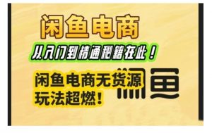闲鱼电商实战课,从入门到精通秘籍在此,闲鱼电商无货源玩法超燃!-宝藏屋创业网