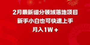 2月最新细分领域落地项目,新手小白也可快速上手,月入1W-宝藏屋创业网