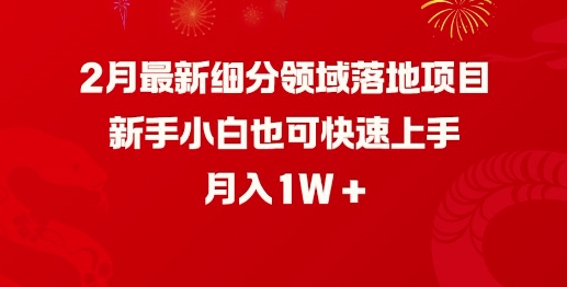 2月最新细分领域落地项目，新手小白也可快速上手，月入1W-宝藏屋创业网
