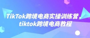 TikTok跨境电商实操训练营,tiktok跨境电商教程-宝藏屋创业网