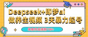 小白用DeepSeek+即梦做ai养生视频,一条作品涨粉5万+,单日收益多张-宝藏屋创业网