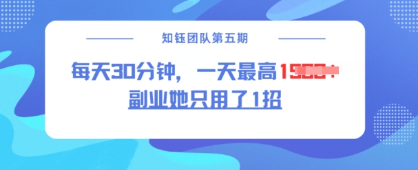 副业她只用了1招，每天30分钟，无脑二创，一天最高1.5k-宝藏屋创业网