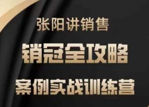张阳讲销售实战训练营,案例实战训练,销冠全攻略-宝藏屋创业网