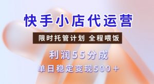 快手小店代运营3.0，模式新升级，收益55分，稳定单日5张【揭秘】-宝藏屋创业网
