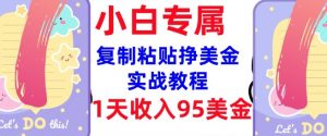 复制粘贴挣美金，0门槛，1天收入95美刀，3分钟学会，内部教程(首次公开)-宝藏屋创业网