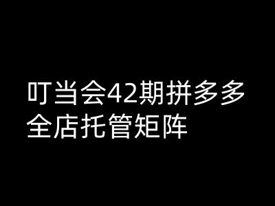 叮当会拼多多打爆班原创高阶技术第42期，拼多多全店托管矩阵-宝藏屋创业网