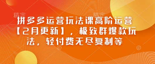 拼多多运营玩法课高阶运营【2月更新】，极致群爆款玩法，轻付费无尽复制等-宝藏屋创业网