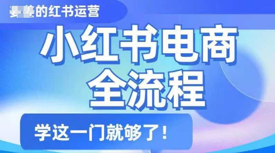 小红书电商全流程，精简易懂，从入门到精通，学这一门就够了-宝藏屋创业网