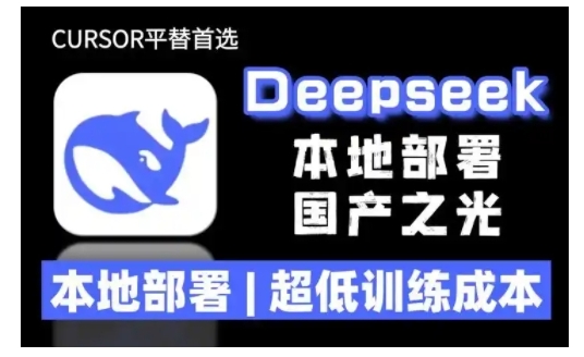 2025年deepseek R1 大型模型本地安装部署(文件+教程)本地部署，超低训练成本-宝藏屋创业网