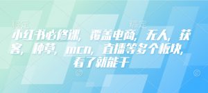 小红书必修课,覆盖电商,无人,获客,种草,mcn,直播等多个板块,看了就能干-宝藏屋创业网