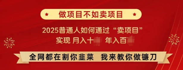 必看，做项目不如卖项目，2025普通人如何通过“卖项目”实现月入十个，年入百个-宝藏屋创业网