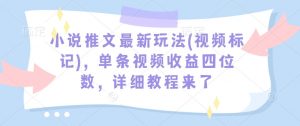 小说推文最新玩法(视频标记),单条视频收益四位数,详细教程来了-宝藏屋创业网