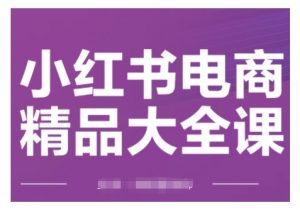 小红书电商精品大全课,快速掌握小红书运营技巧,实现精准引流与爆单目标,轻松玩转小红书电商(更新2月)-宝藏屋创业网
