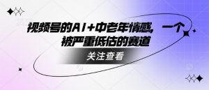 视频号的AI+中老年情感,一个被严重低估的赛道-宝藏屋创业网