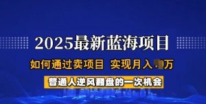2025蓝海项目,普通人如何通过卖项目,实现月入过W,全过程【揭秘】-宝藏屋创业网
