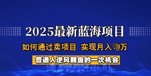 2025蓝海项目，普通人如何通过卖项目，实现月入过W，全过程【揭秘】-宝藏屋创业网