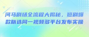 河马剧场全流程大揭秘,短剧爆款精选同一视频多平台发布实操-宝藏屋创业网