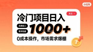 在小红书上发现个冷门路子,需求不小,零成本操作,每天能有1k进账-宝藏屋创业网