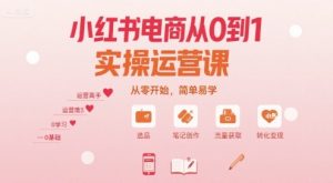 小红书电商从0到1实操运营课,从零开始,简单易学-宝藏屋创业网