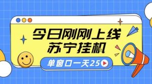 苏宁全自动采集挂G项目 稳定可批量 单窗口收益30+ 附教程【揭秘】-宝藏屋创业网