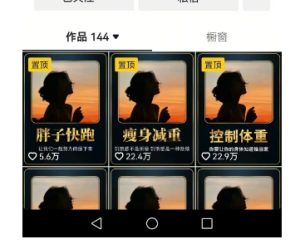 超高变现的短视频减肥细分赛道,减肥账号抖音实战训练营-宝藏屋创业网