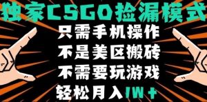 CSGO自动捡漏项目,最新独家玩法,不是美区搬砖,不需要了解和玩游戏,新手小白轻松月入1W+【揭秘】-宝藏屋创业网
