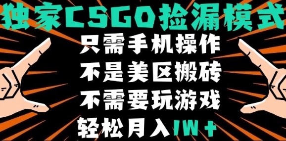CSGO自动捡漏项目，最新独家玩法，不是美区搬砖，不需要了解和玩游戏，新手小白轻松月入1W+【揭秘】-宝藏屋创业网