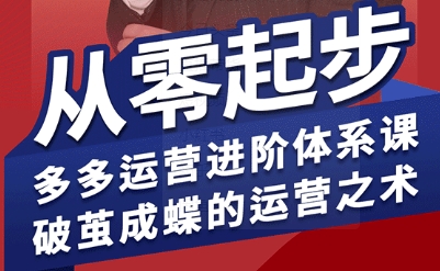 拼多多运营进阶系统课，从零起步，多多运营进阶体系课，破茧成蝶的运营之术-宝藏屋创业网