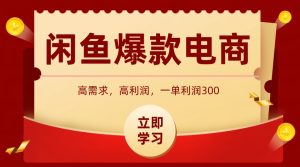 闲鱼卖高利润产品,上架即可出单,每天利润1000+-宝藏屋创业网