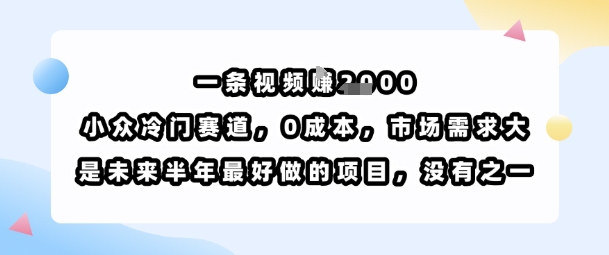 一条视频挣1k，小众冷门赛道，0成本，市场需求大，是未来半年最好做的项目，没有之一-宝藏屋创业网