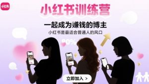 小红书训练营一起成为賺钱的博主,小红书是最适合普通人的风口-宝藏屋创业网