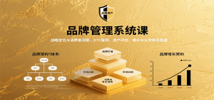 品牌管理系统课:战略定位与消费者洞察,DTC案例、资产评估,增长与公关体系搭建-宝藏屋创业网