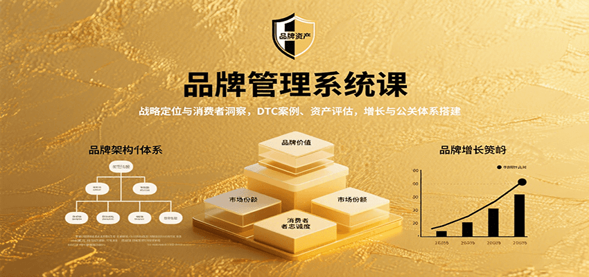 品牌管理系统课：战略定位与消费者洞察，DTC案例、资产评估，增长与公关体系搭建-宝藏屋创业网
