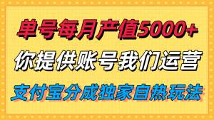 单月产值5000+,支付宝分成代运营,你提供账号坐等分钱,我们帮你运营-宝藏屋创业网