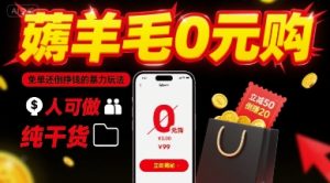 薅羊毛0元购,免单还倒挣钱的暴力玩法,人人可做,纯干货-宝藏屋创业网