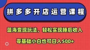 拼多多开店运营课程:蓝海变现玩法,轻松实现睡后收入,零基础小白也可日入5张-宝藏屋创业网