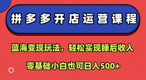 拼多多开店运营课程：蓝海变现玩法，轻松实现睡后收入，零基础小白也可日入5张-宝藏屋创业网
