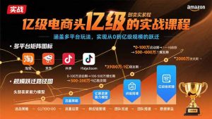 亿级电商头部卖家的实战课程:涵盖多平台玩法,实现从0到亿级规模的跃迁-宝藏屋创业网