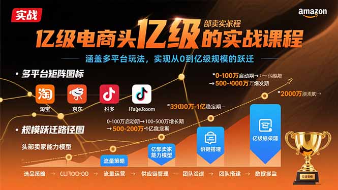 亿级电商头部卖家的实战课程：涵盖多平台玩法，实现从0到亿级规模的跃迁-宝藏屋创业网