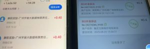 京东数据采集掘金系列,半自动挂机,一单一结,秒款-宝藏屋创业网