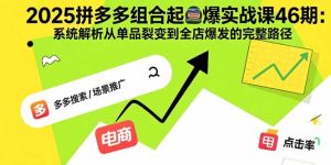 2025拼多多组合起爆实战课46期:系统解析从单品裂变到全店爆发的完整路径-宝藏屋创业网
