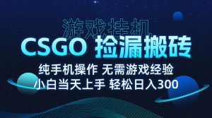 8月最新游戏搬砖,CSGO纯挂机,不需要玩游戏,实现真挂机,月入1W+-宝藏屋创业网