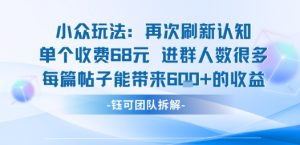 小众玩法再次刷新认知单个收费68米进群人数很多每篇帖子能带来6张的收益-宝藏屋创业网