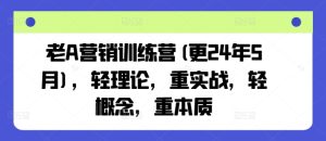 老A营销训练营(更25年8月),轻理论,重实战,轻概念,重本质-宝藏屋创业网