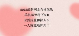 2025最新网盘自撸玩法,单机每天稳下3张,无需流量和拉人头,一个人就可轻松矩阵,全网独一份【揭秘】-宝藏屋创业网