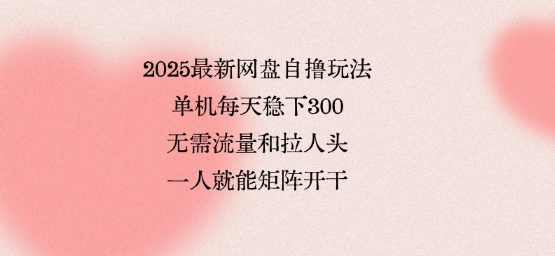 2025最新网盘自撸玩法，单机每天稳下3张，无需流量和拉人头，一个人就可轻松矩阵，全网独一份【揭秘】-宝藏屋创业网