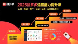 2025拼多多运营能力提升课:认知→基础→推广→活动→玩法,五阶成长路径-宝藏屋创业网