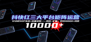 抖快红三大平台矩阵运营,12小时SOP实战+流量获取-风控-扩量,月引10000+线索-宝藏屋创业网
