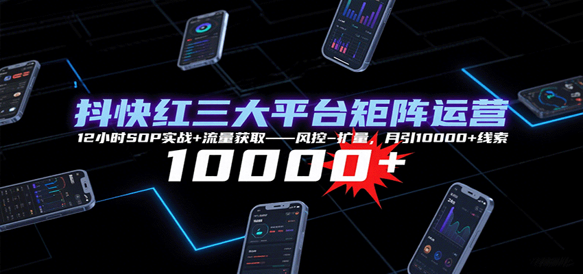 抖快红三大平台矩阵运营，12小时SOP实战+流量获取-风控-扩量，月引10000+线索-宝藏屋创业网